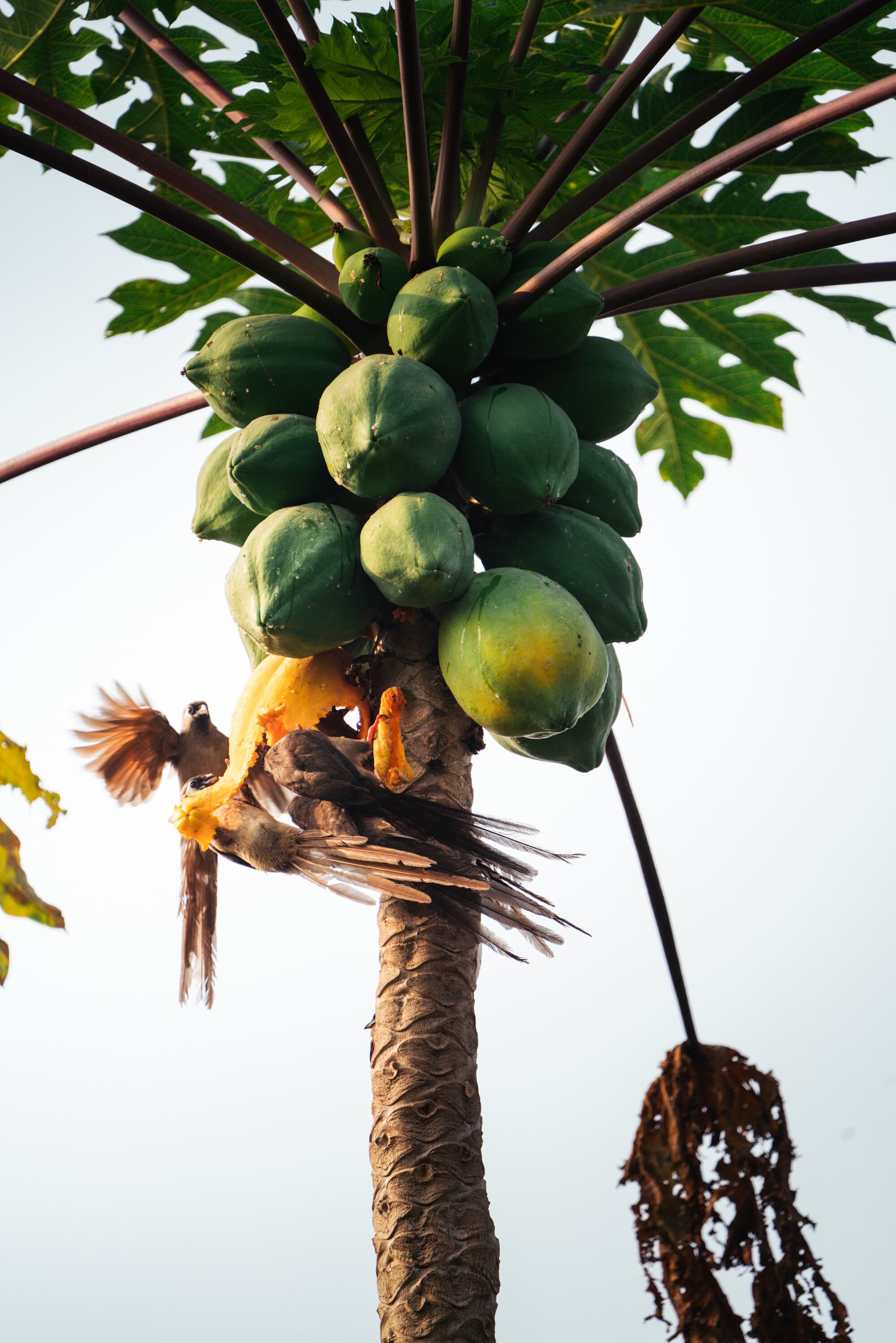Obklopíme se krásami konžské přírody